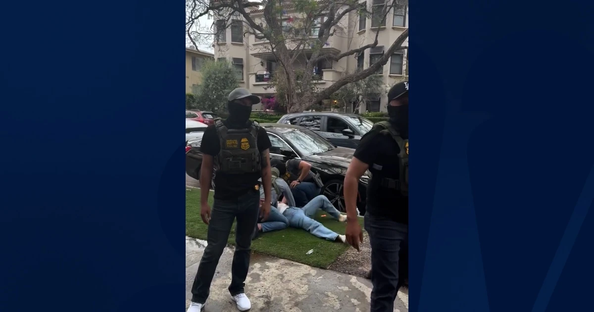 Iranian woman seeking asylum collapses as ICE agents try to detain her