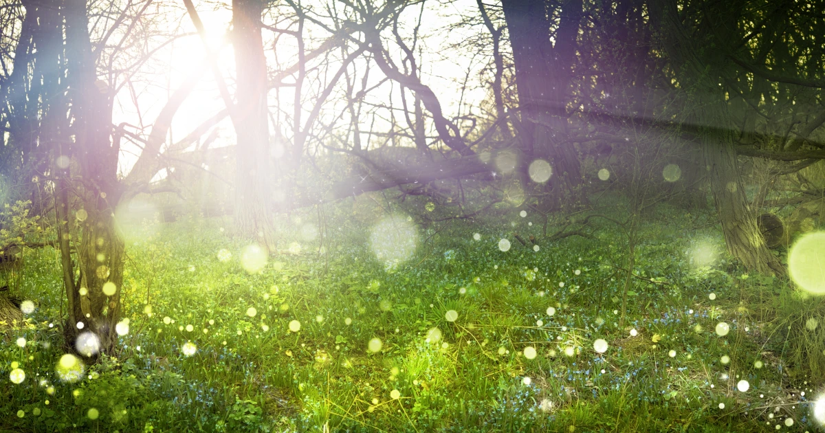 じつは、森林に棲む微生物の多くが「未知の生態」…目には見えなけれど、絶対いる。森林が「謎の宝庫」といわれる、じつに納得の理由