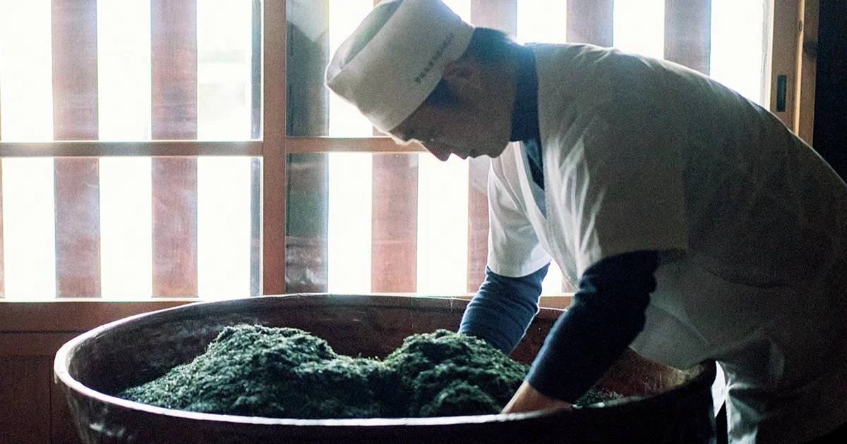 「現代の暮らしに寄り添う提案も必要」消費者に近いがゆえの葛藤も…歴史を未来につなぐ「お茶の京都」を守る人びと