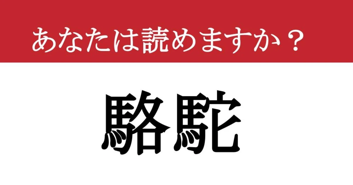 【難読漢字】「駱駝」って読めますか？ 砂漠にいる「あれ」です！