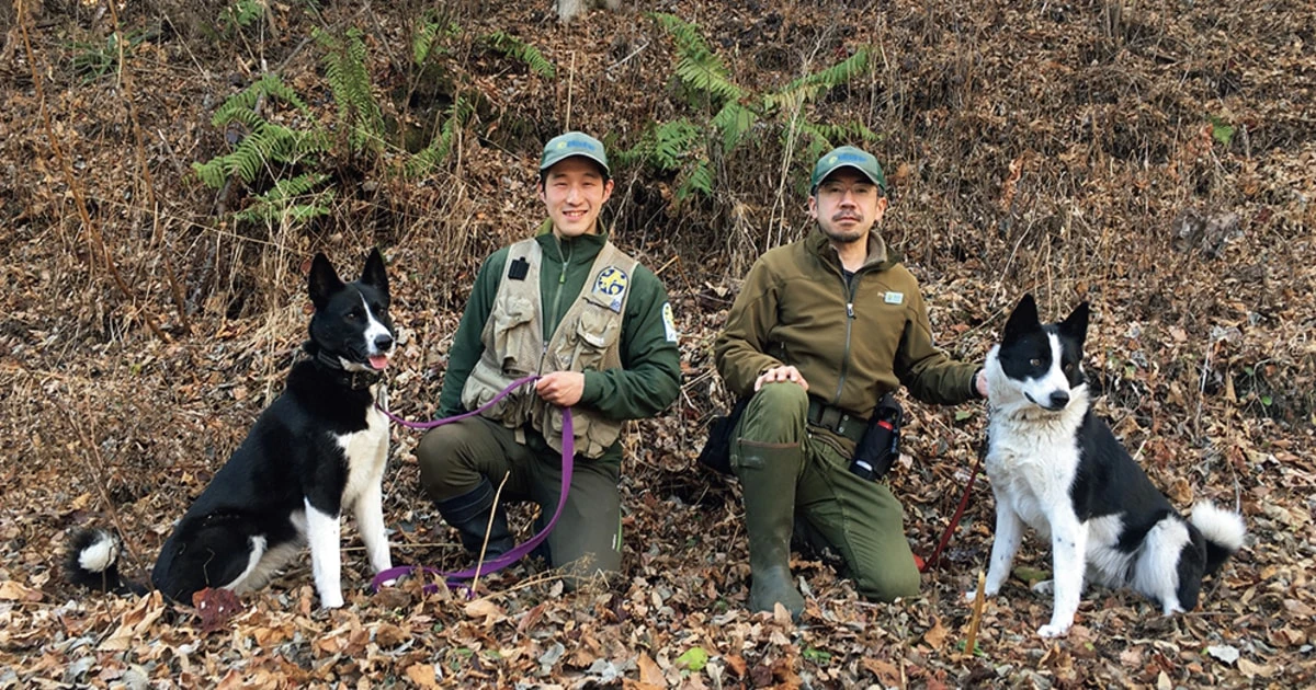 クマと人の共存のために働く番犬ベアドッグなど「生物多様性を守る」日本各地の取り組み