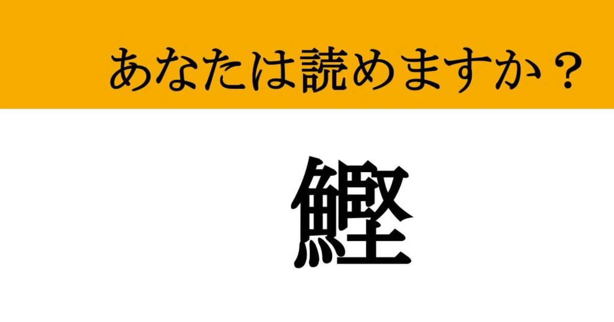 【難読漢字】「鰹」って読めますか？海のスタミナ王
