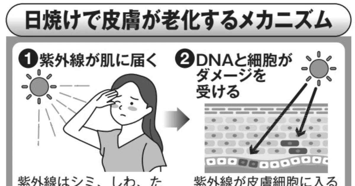 若くいたければ「紫外線対策をせよ」日焼け止めを塗る時にも落とし穴が…