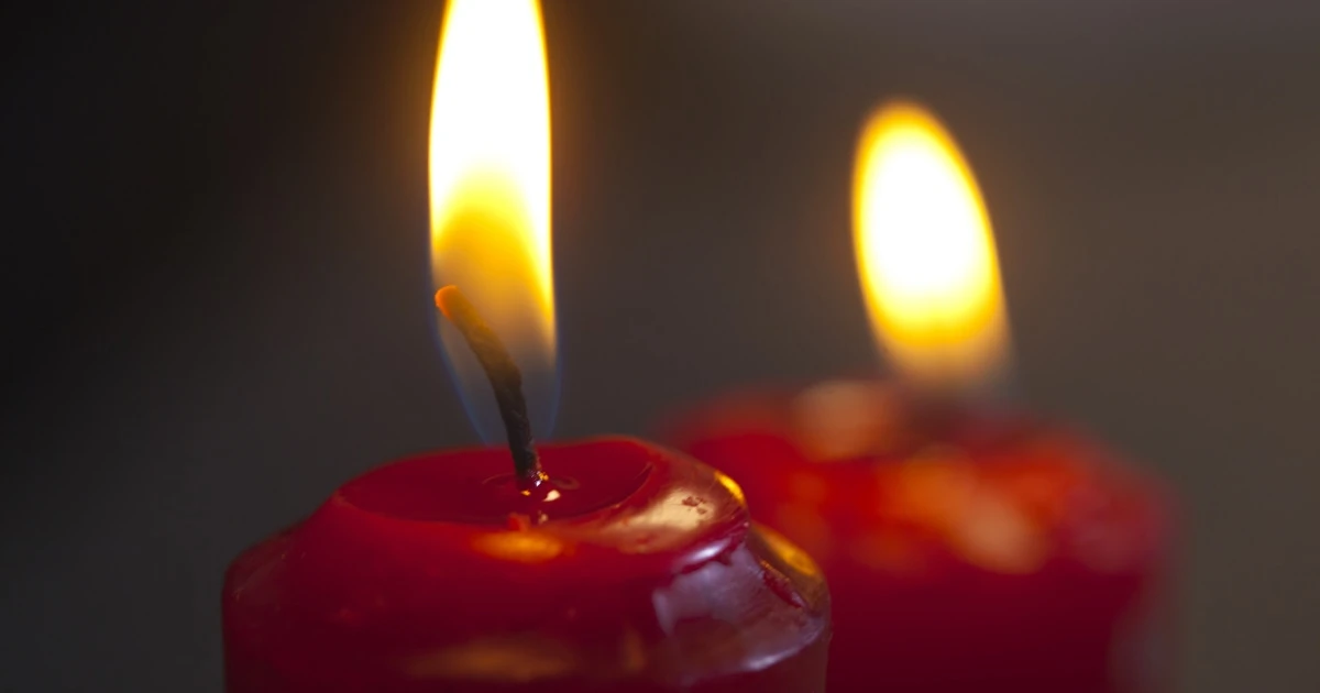 ノンフィクションライターが「人間と人間ではないもの」が行う「セックス」について研究しはじめた理由