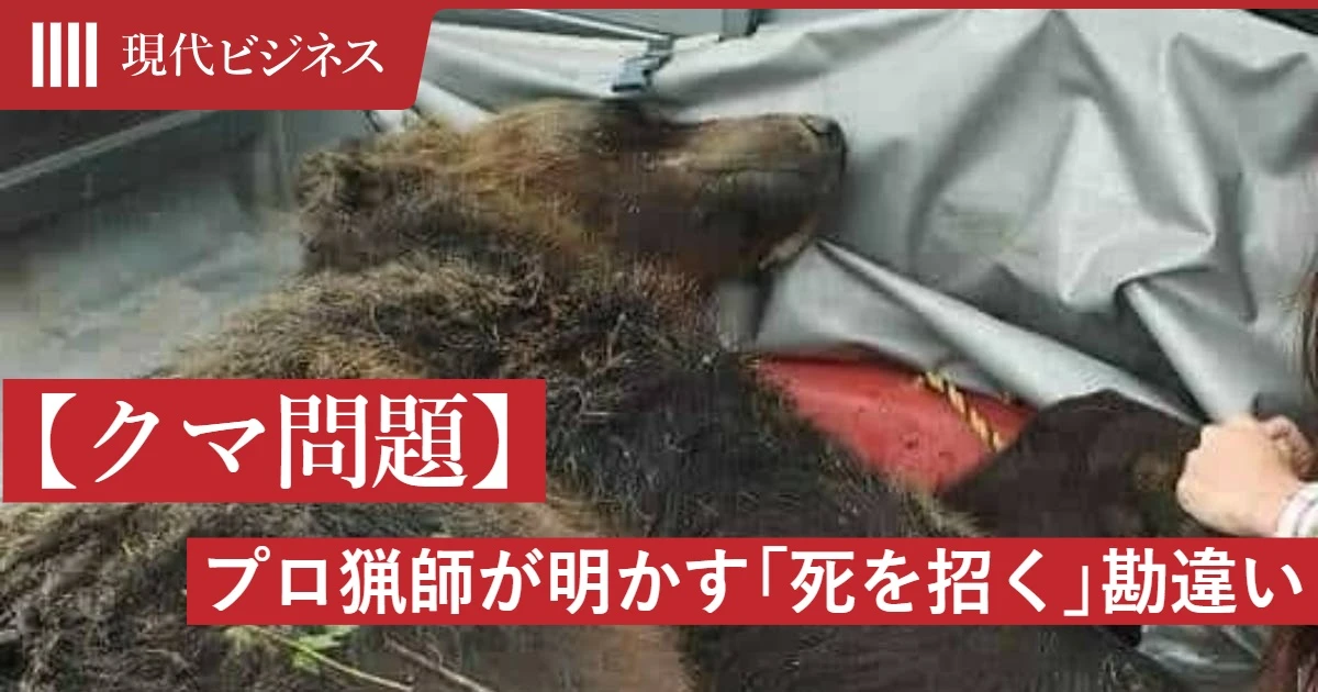 「クマ鈴」、じつは熊にとっては「おやつのお知らせ」だった…プロ猟師が明かす「死を招く」致命的な勘違いと「本当に効く音」の正体
