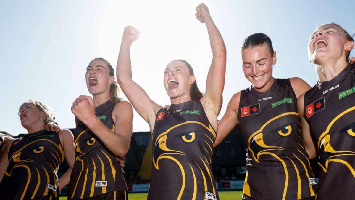 Hawthorn win $1m match in epic finish to AFLW season