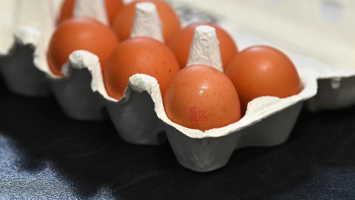 Major move for egg industry amid bird flu threat