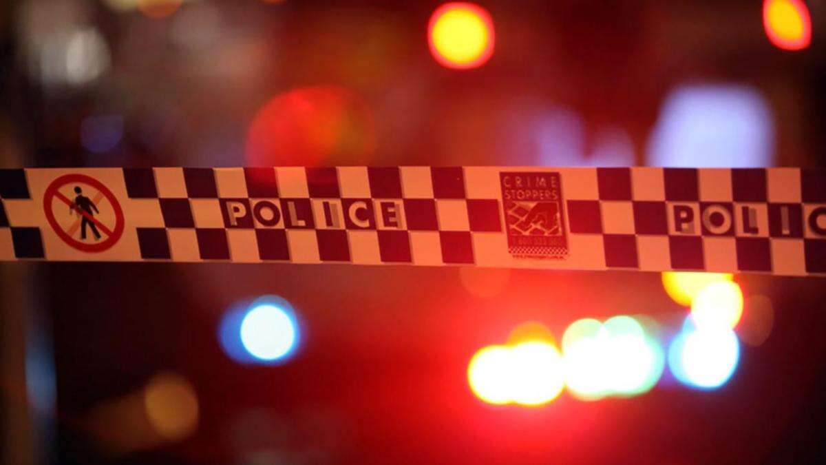 Ute driver dies in crash with truck on Princes Hwy