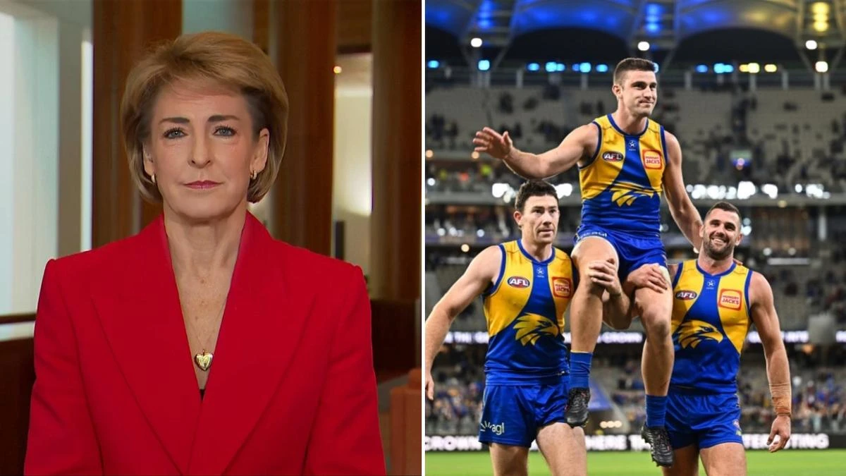 Senator’s call to axe unfair $50m broadcast tax as US streamers get a free ride
