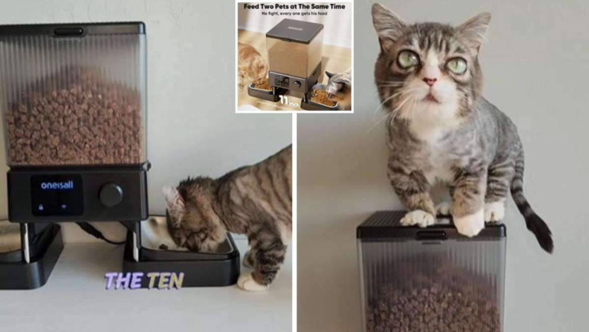 Genius invention to feed your pets is on sale - and it’s a bestseller in its category