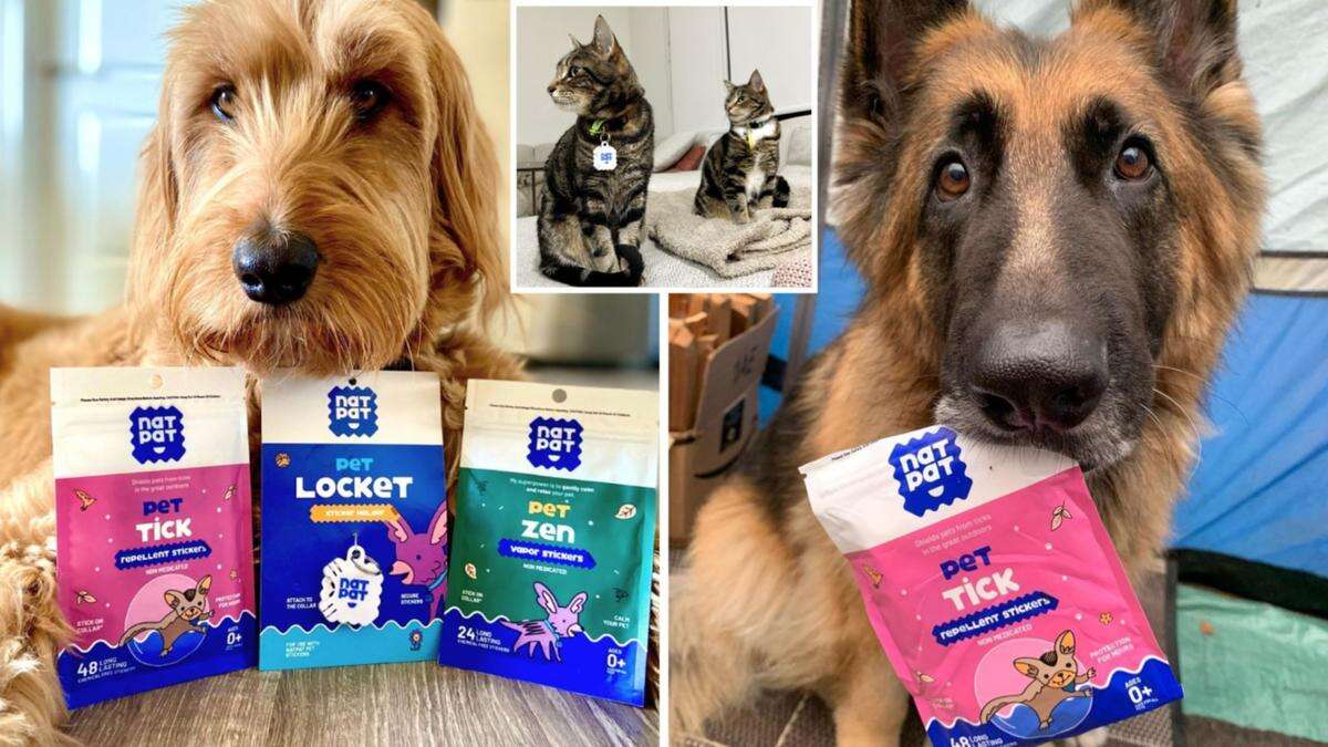 The ‘genius’ pet sticker saving hundreds of dogs and cats from ticks