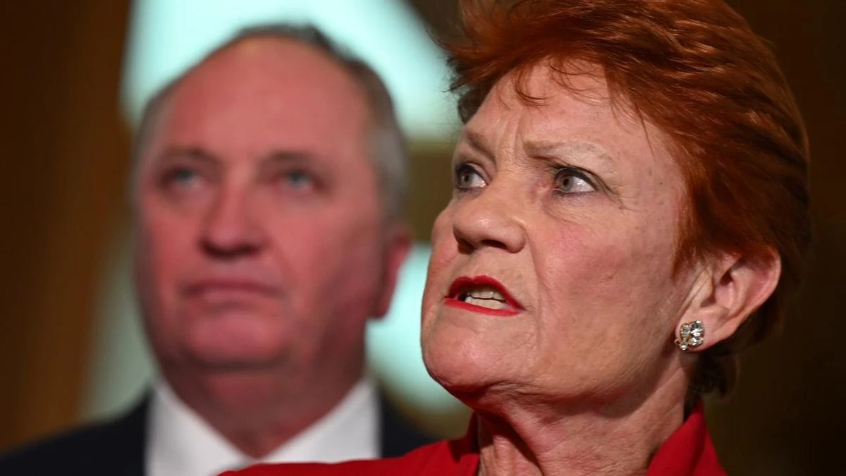 Pauline Hanson left to explain amid awkward interview bungles