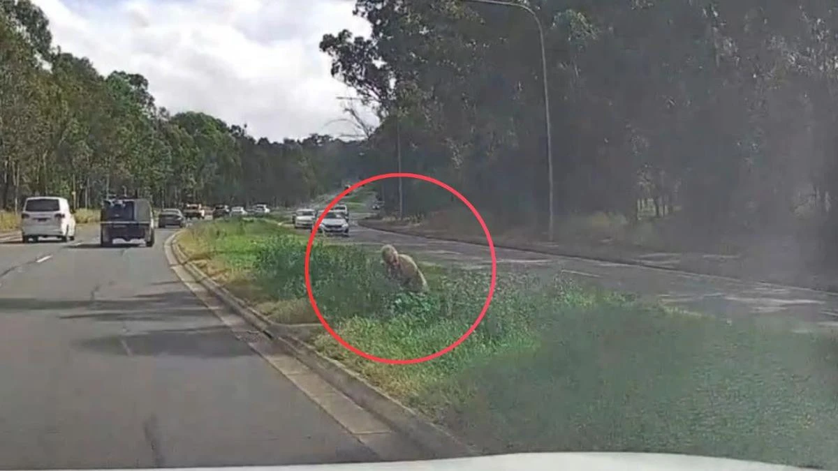 Fears as missing dementia patient spotted ‘struggling’ on busy road