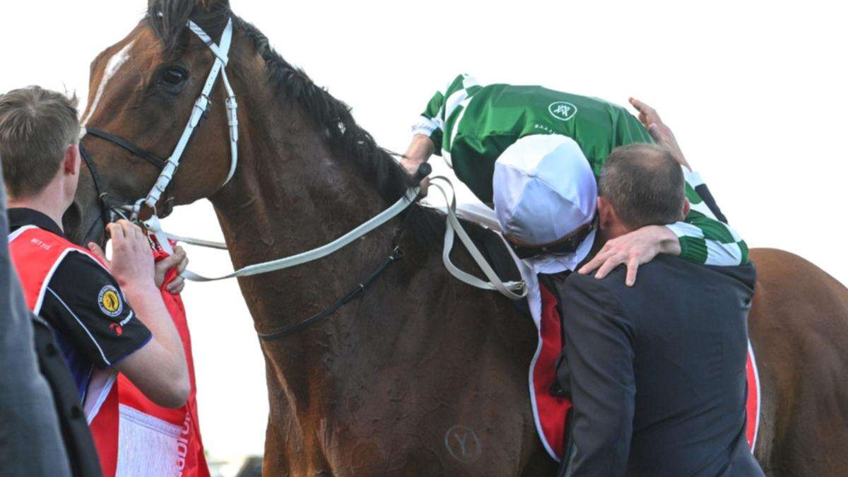 Champion trainer’s ‘negative’ Melbourne Cup reality: ‘How dare we’