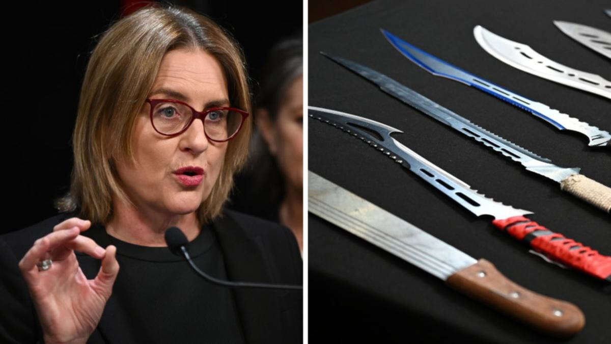 Machetes to be banned in Victoria as part of major crackdown on crime