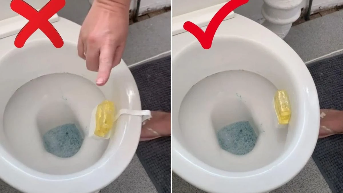 ‘Doing it wrong all this time!’ New toilet cleaning hack will blow your mind