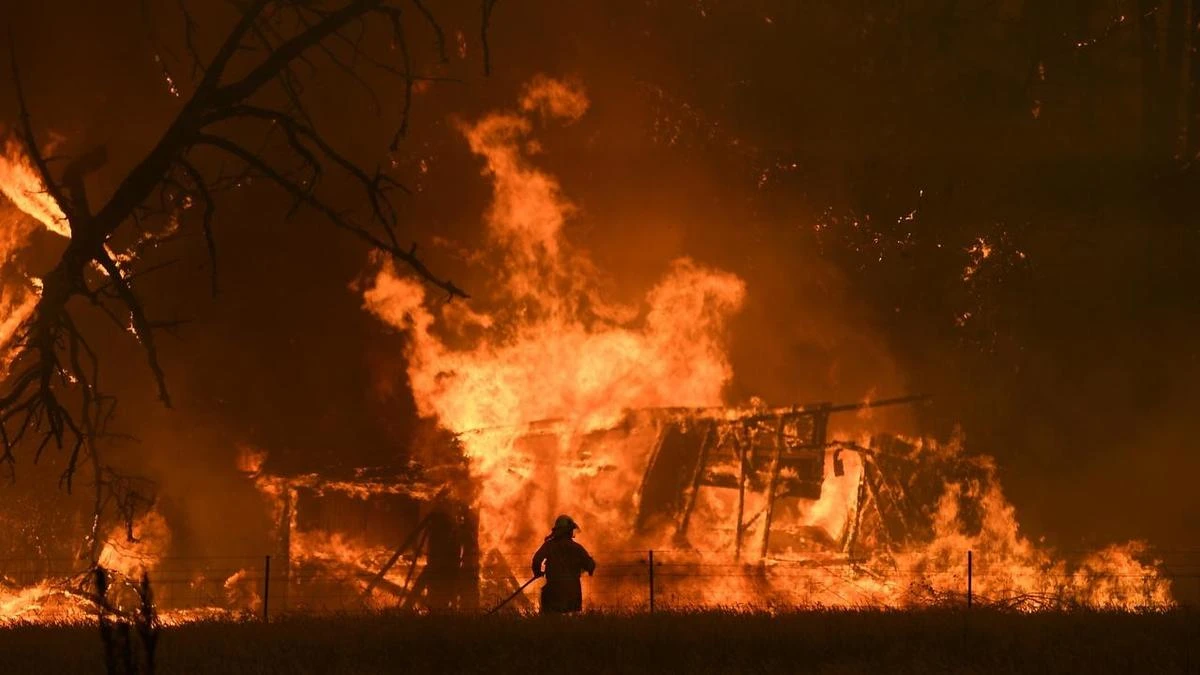 Authorities warn El Niño could bring another Black Summer nightmare