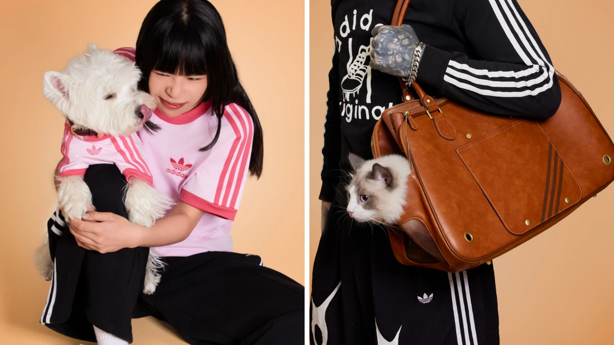 adidas launches first-ever pet range with carrier, clothes and collars - and owners are ‘obsessed’