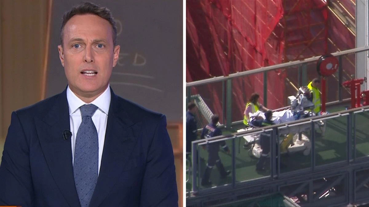 Shirvo asks the question we all want answered after woman loses arm in lion attack