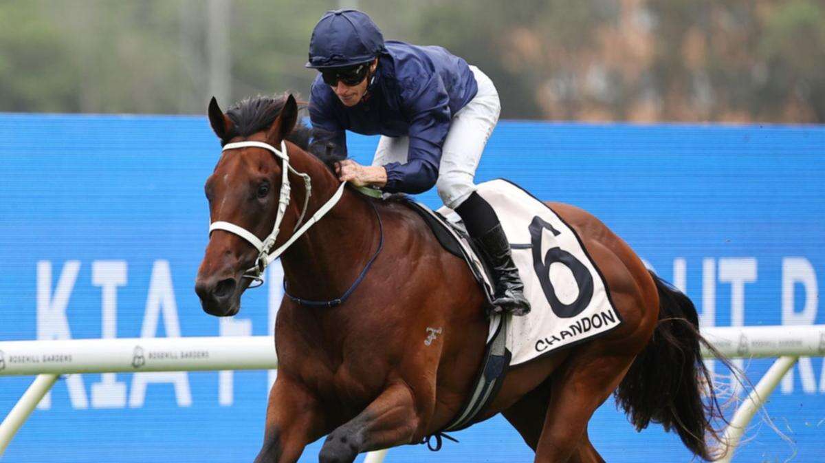 Favourites draw well for $5m Golden Slipper