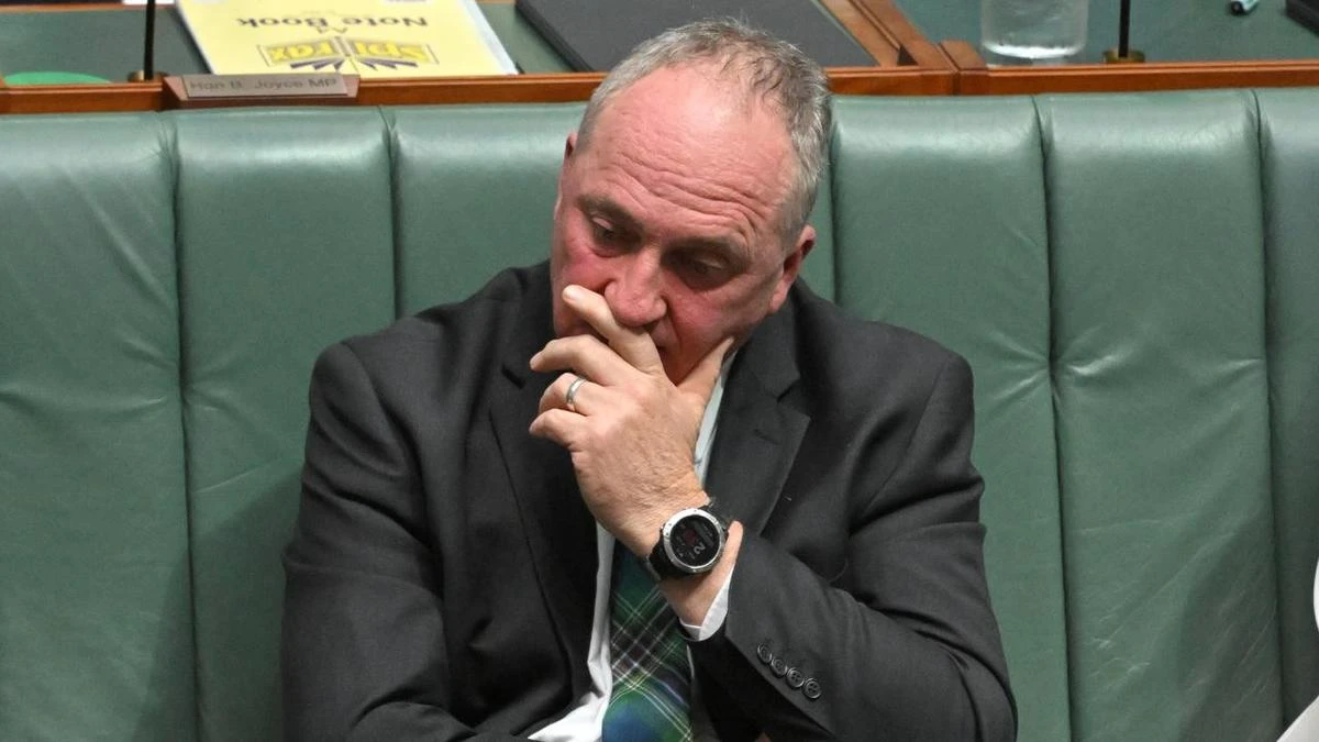 'It'll end in tears': former One Nation MP warns Joyce
