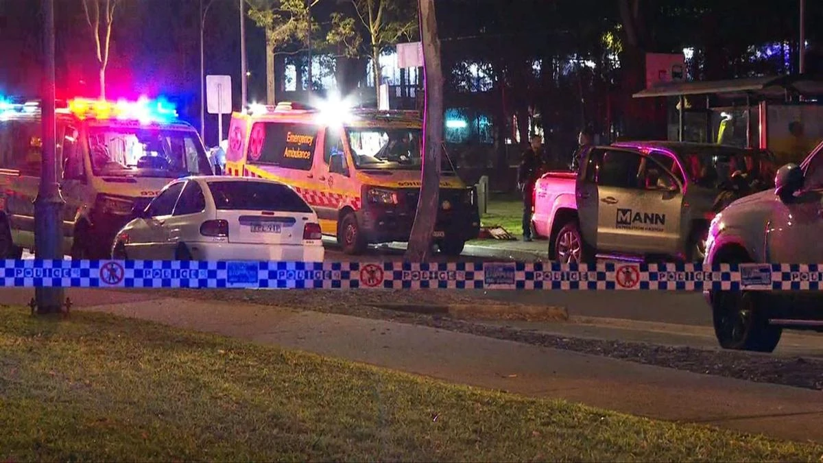 Man dies from stab wound in driveway of Sydney home