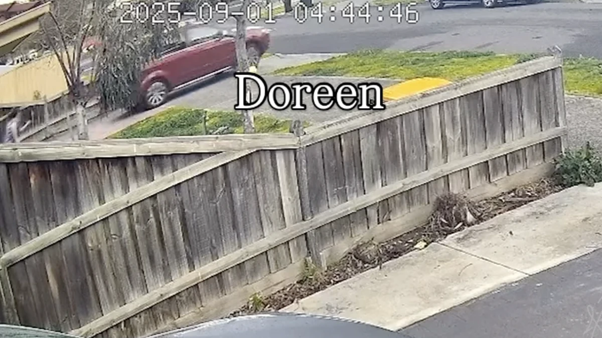 Watch the terrifying moment thieves in Victoria stole a car with toddlers in the back