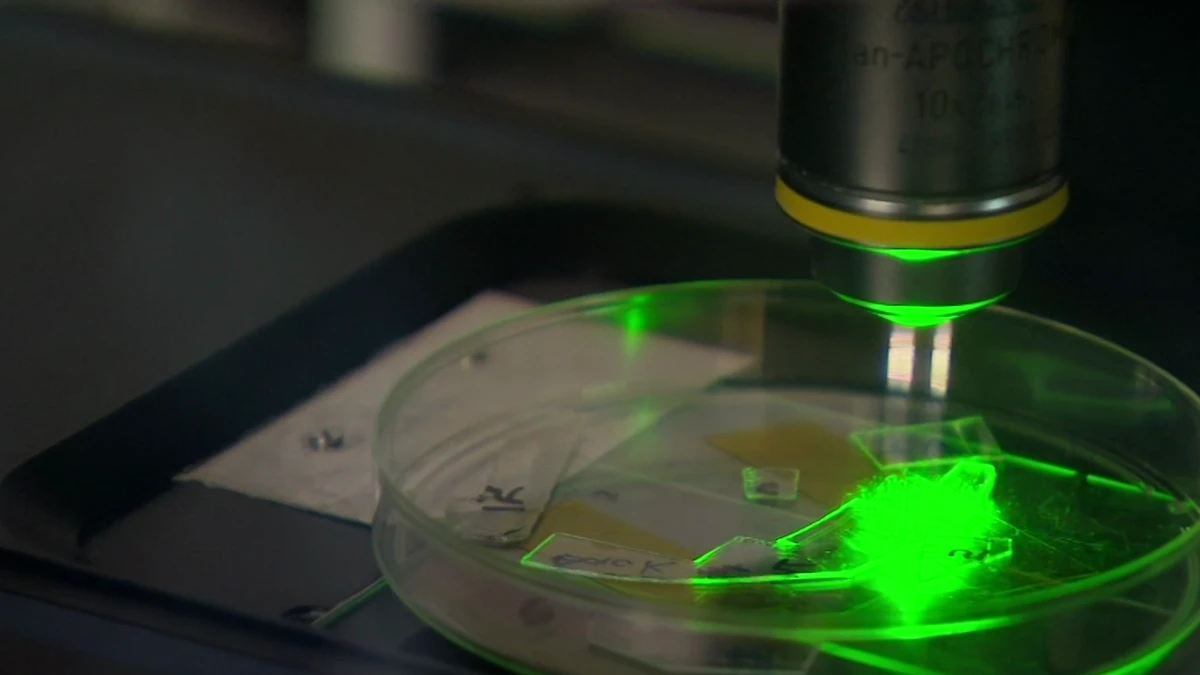 Groundbreaking invention sees world-first plastic kill viruses on impact
