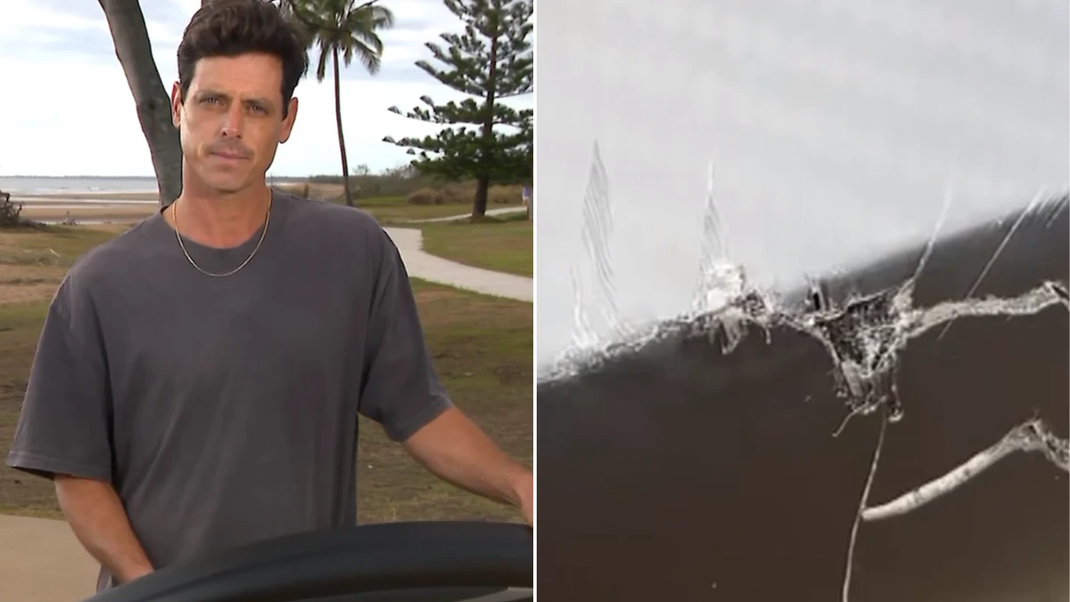 Surfer thrown from board in terrifying shark encounter