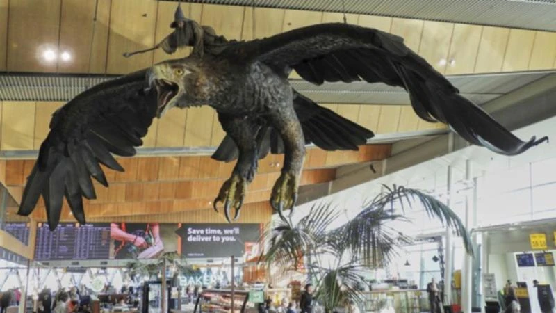 Hobbit-themed eagle sculptures to depart New Zealand airport