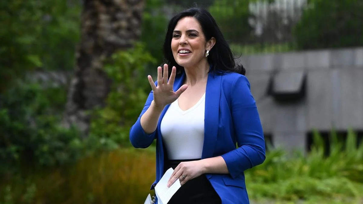 ‘Matter concluded’ as Liberals drop embattled MP