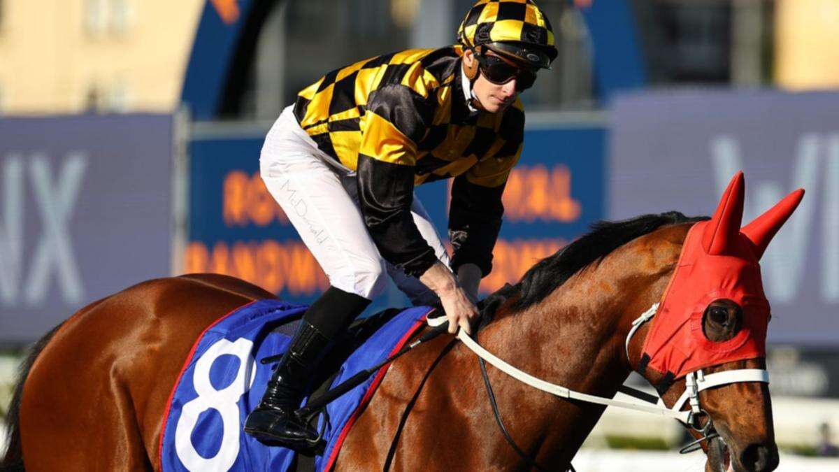 Why Chris Waller is confident of another Everest win