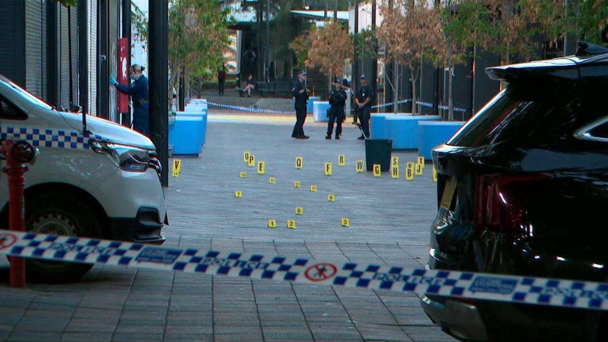 Two men arrested after hail of bullets fired into Western Sydney barbershop