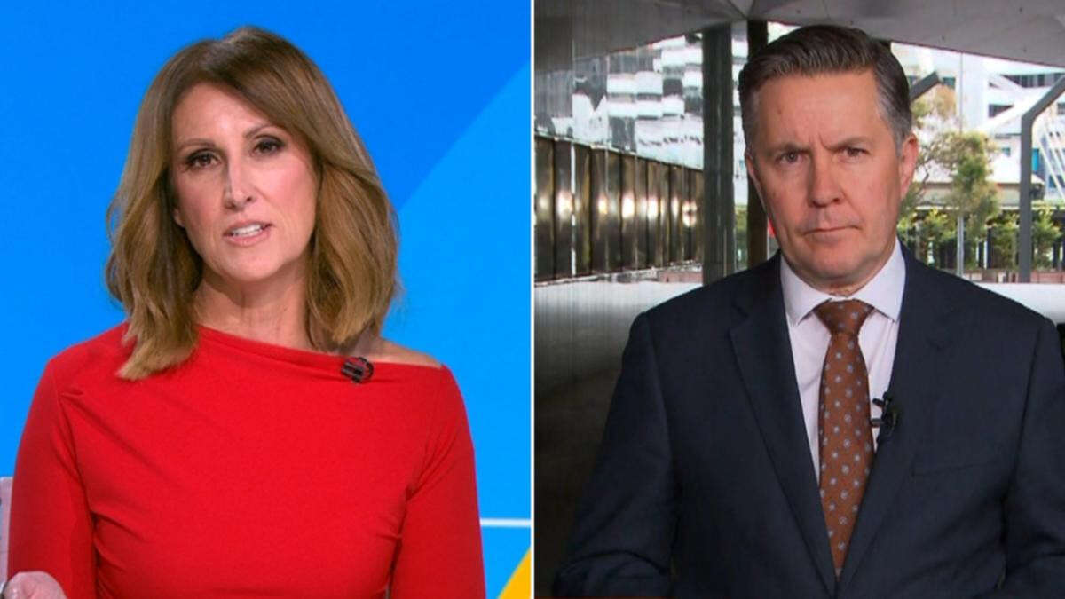 Nat Barr grills Labor minister Mark Butler about free Qantas upgrades: ‘I’ve taken four’