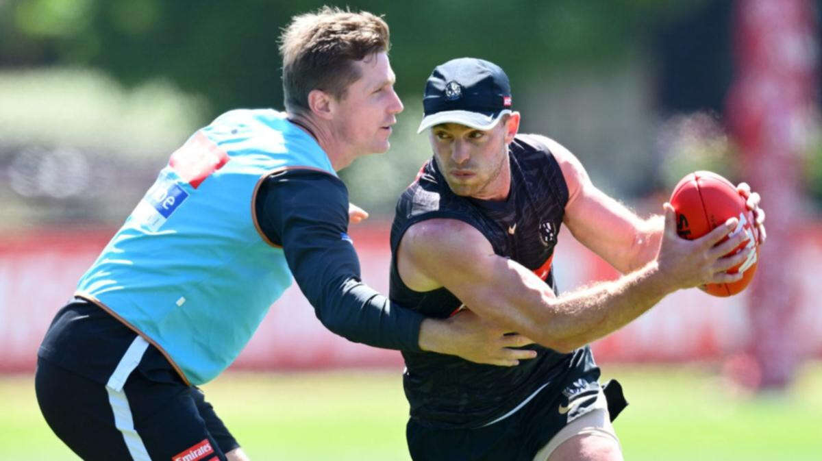 Collingwood champion dealt crushing injury blow