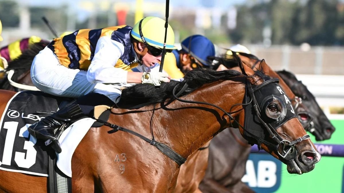$101 outsider out for shock Makybe Diva victory