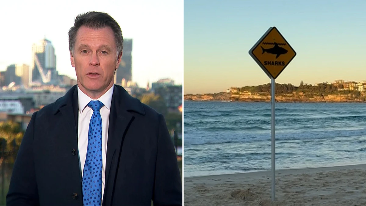 Premier grilled on shark safety measures as Bondi Beach closed