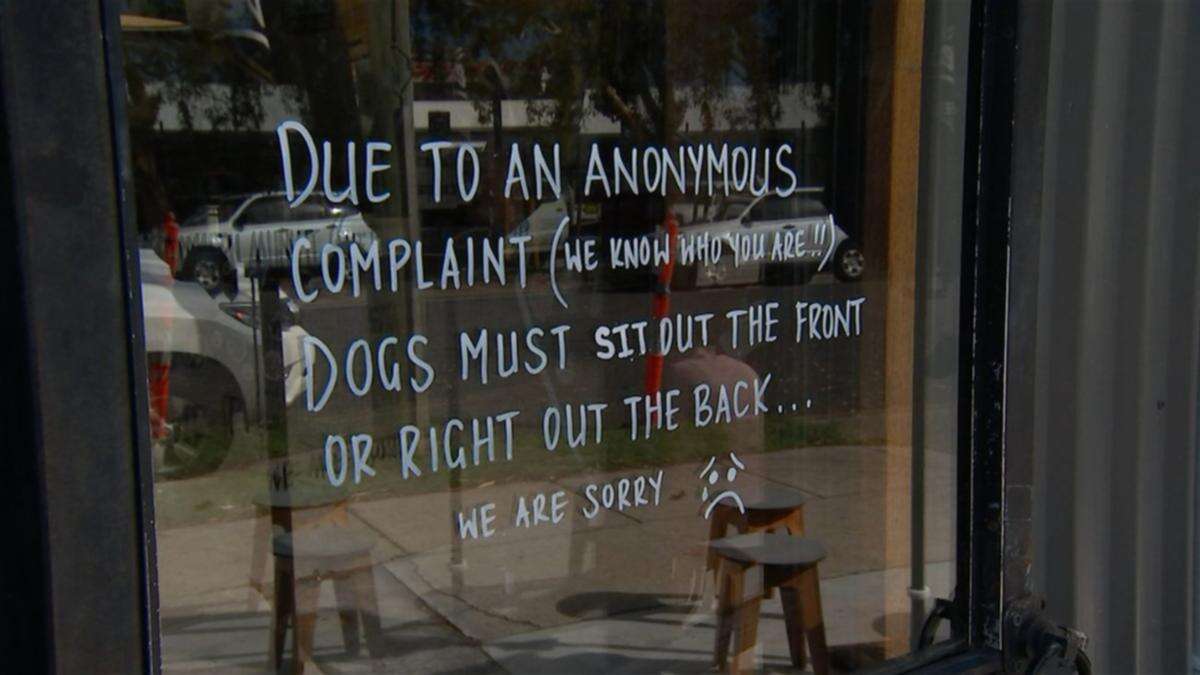 The ‘stupid’ complaint that ended cafe’s dog-friendly policy