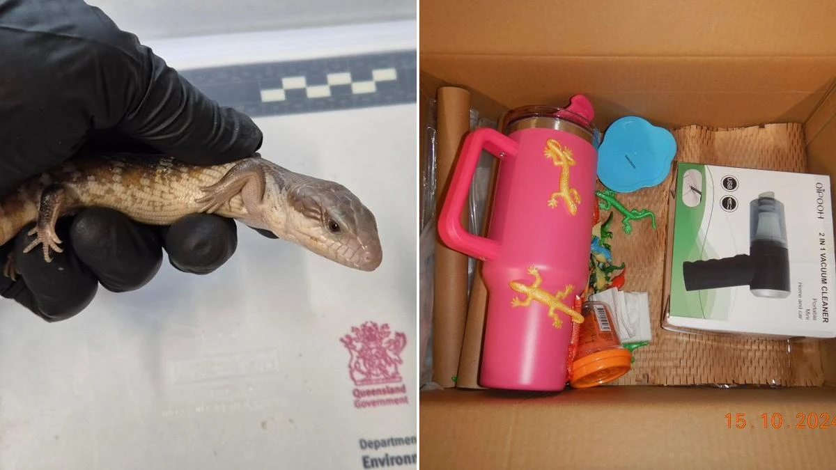 Student jailed for his part in cruel wildlife trade
