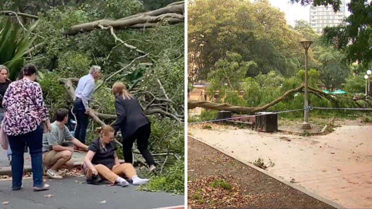 Two people injured after huge tree falls on top of them in wild Sydney weather