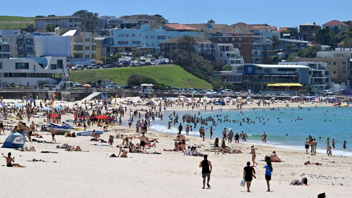 Total fire ban declared as Sydney braces for hottest day of the summer so far