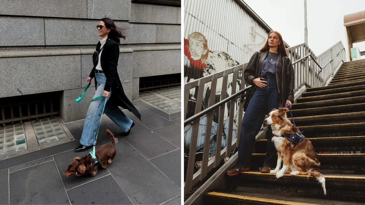 Brand behind viral no-pull harness for daily walks announces huge giveaway