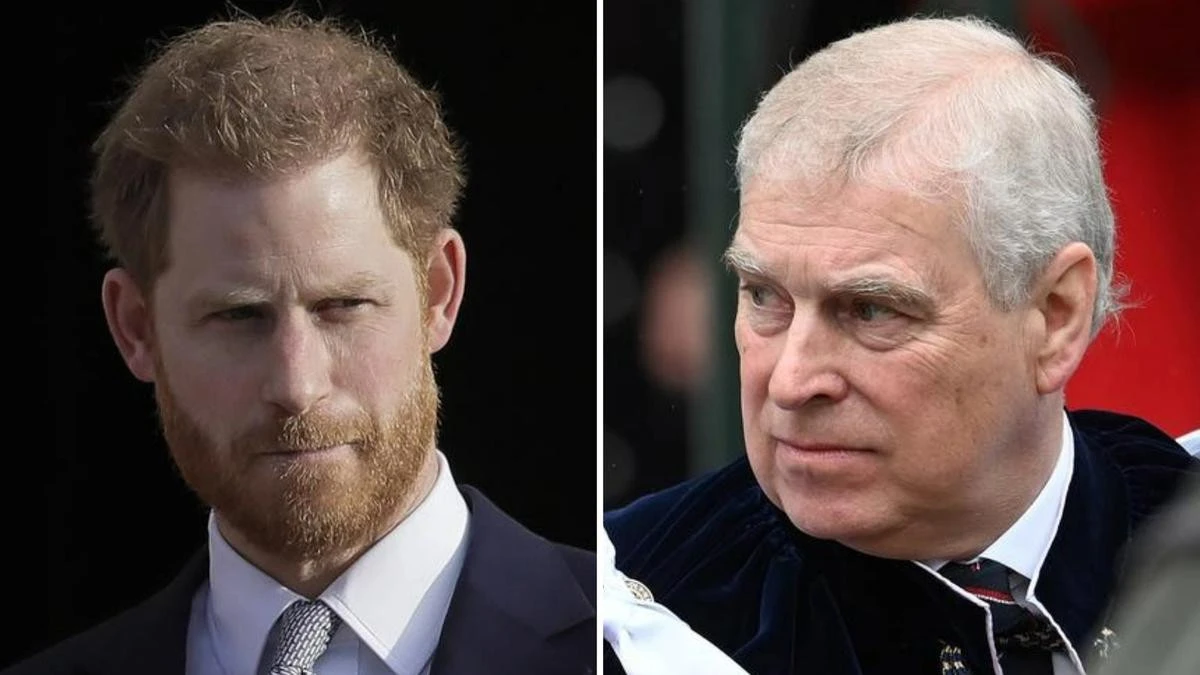 Prince Harry ‘punched’ Prince Andrew in shock new claim