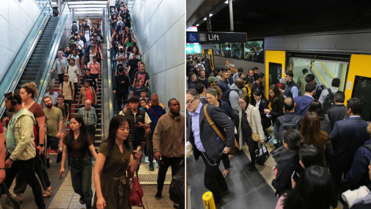 Sydneysiders urged to work from home as more train chaos expected