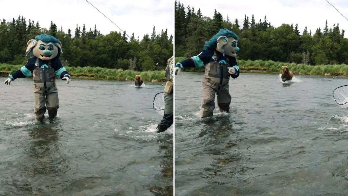 US sports mascot chased by a bear