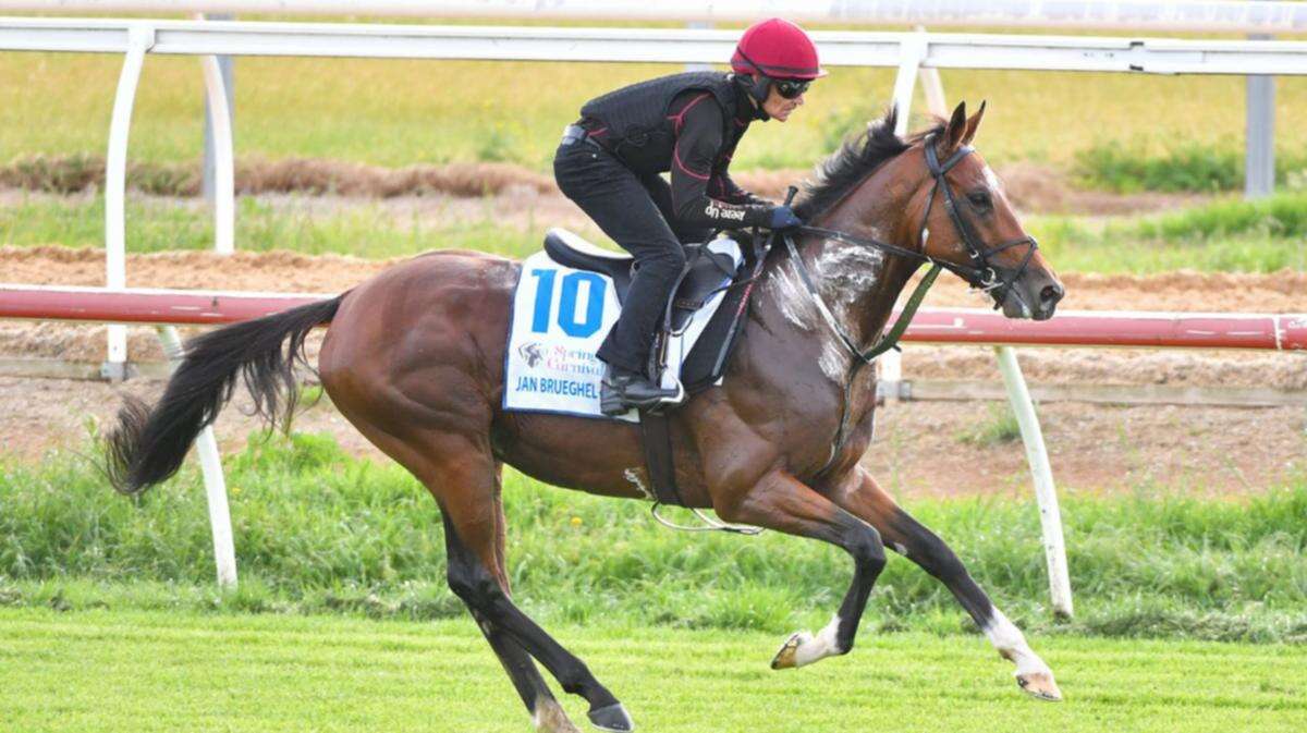 Melbourne Cup contender ruled out after shock vet findings