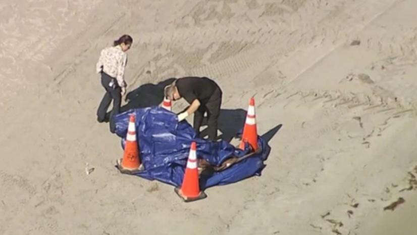 Severed human head floats ashore at beach in US