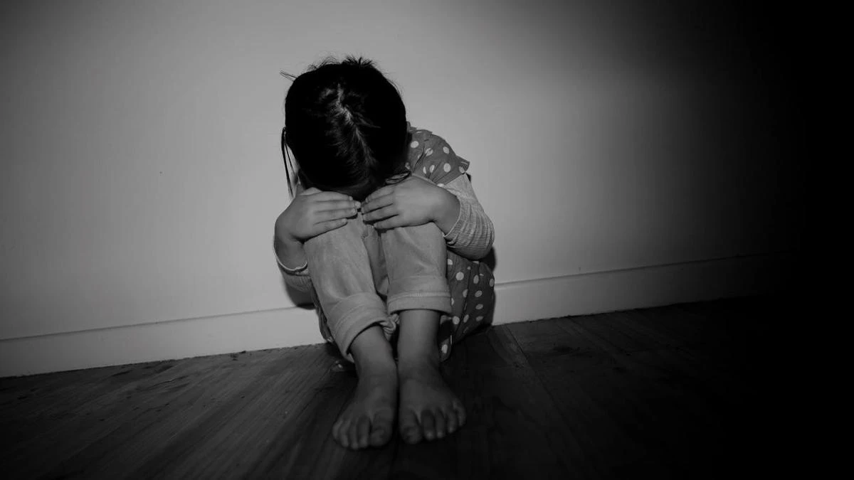 BudgetNSW budget to invest $92.5m in DV support