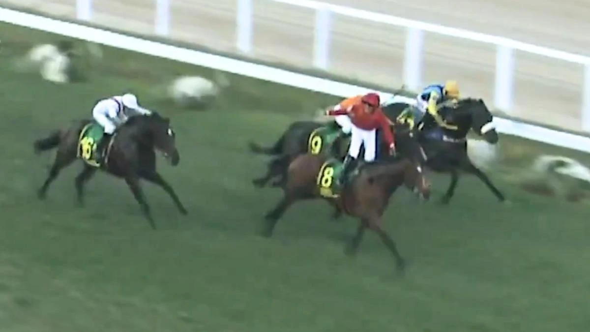 Wild scenes as jockey celebrates very early in Group 1 thriller