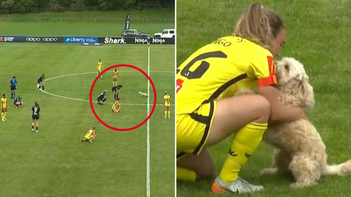 A-League game stopped as captain’s own dog invades pitch